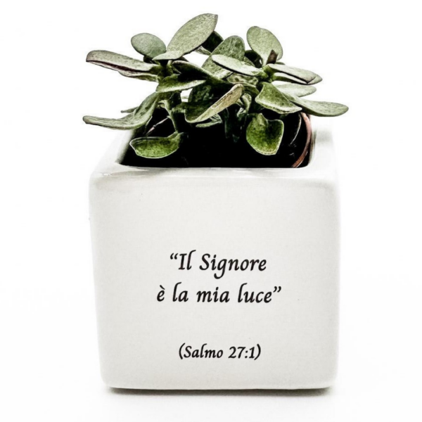Vasetto dell'amore