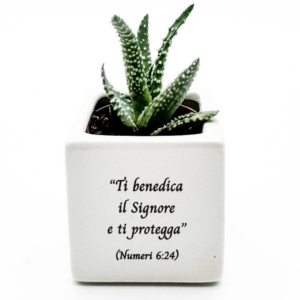 Vasetto dell’amore